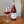 Load image into Gallery viewer, PRE ORDER- SHIPS FALL 2024 Elderberry Rosé - Elderberry Sparkling Cider
