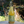 Load image into Gallery viewer, PRE ORDER- SHIPS FALL 2024 In the Garden- A Vegetable-Inspired Sparkling Cider
