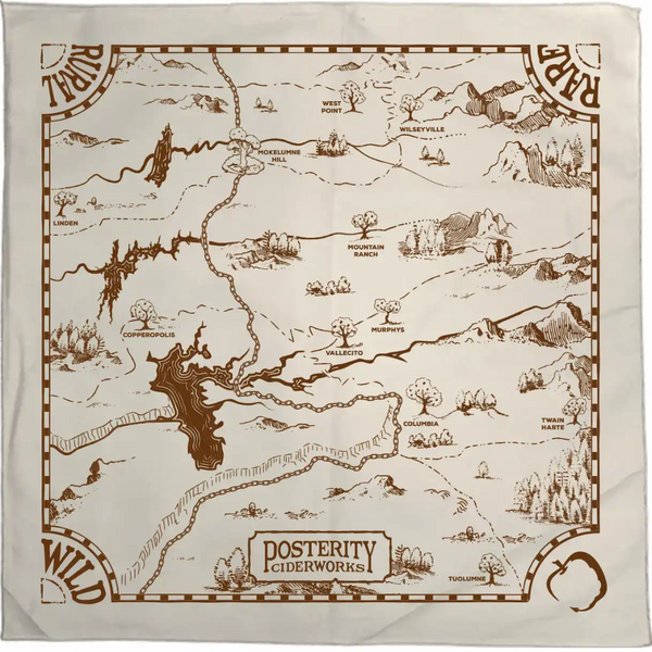 Treasure Map Bandana